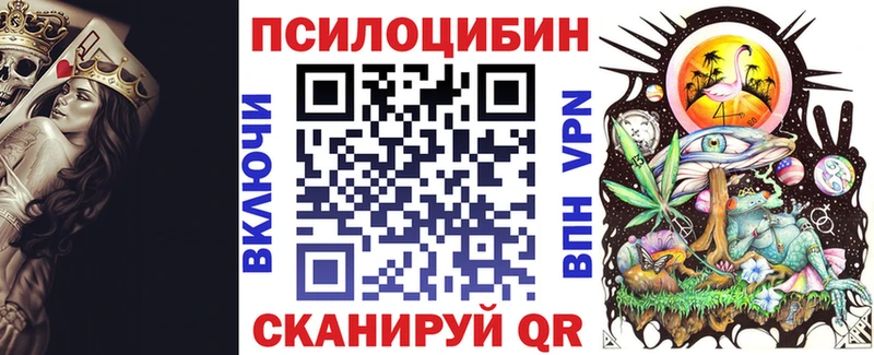 где можно купить наркотик  Урус-Мартан  Псилоцибиновые грибы GOLDEN TEACHER 