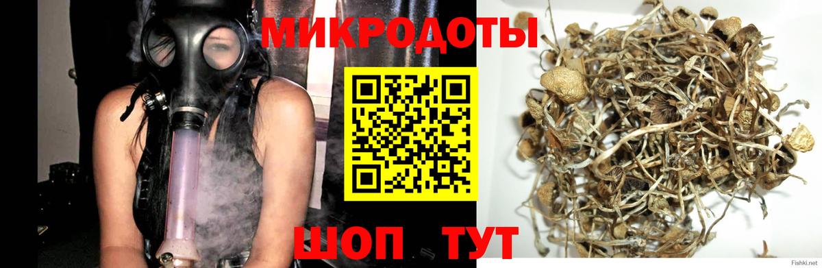 Урус-Мартан  Галлюциногенные грибы прущие грибы  Галлюциногенные грибы мицелий  Вход с VPN 